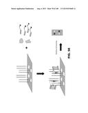 BIOSENSORS FOR DETECTING MACROMOLECULES AND OTHER ANALYTES diagram and image