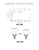 BIOSENSORS FOR DETECTING MACROMOLECULES AND OTHER ANALYTES diagram and image