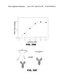 BIOSENSORS FOR DETECTING MACROMOLECULES AND OTHER ANALYTES diagram and image