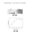 BIOSENSORS FOR DETECTING MACROMOLECULES AND OTHER ANALYTES diagram and image