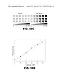 BIOSENSORS FOR DETECTING MACROMOLECULES AND OTHER ANALYTES diagram and image