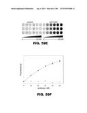 BIOSENSORS FOR DETECTING MACROMOLECULES AND OTHER ANALYTES diagram and image