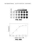 BIOSENSORS FOR DETECTING MACROMOLECULES AND OTHER ANALYTES diagram and image