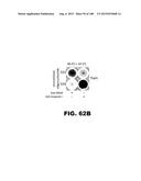 BIOSENSORS FOR DETECTING MACROMOLECULES AND OTHER ANALYTES diagram and image