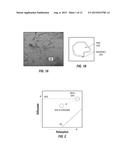 LOGGING IN GAS SHALE AND OTHER UNCONVENTIONAL RESERVOIRS diagram and image