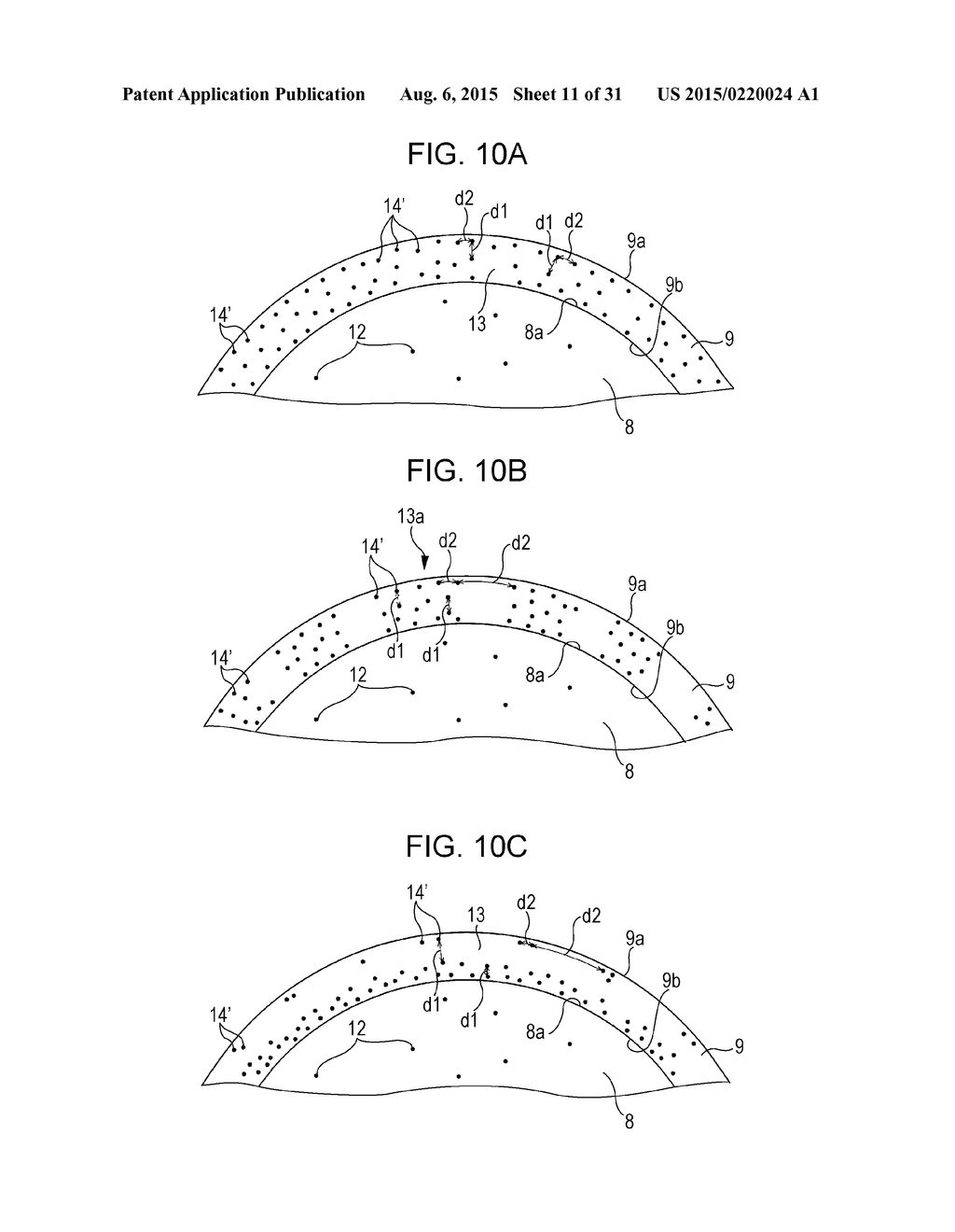 TRANSFER MEMBER AND IMAGE FORMING APPARATUS - diagram, schematic, and image 12