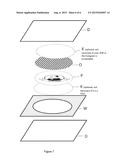 SECURITY DOCUMENT AND/OR DOCUMENT OF VALUE CONTAINING A VISUALLY     CHANGEABLE WINDOW WITH A HOLOGRAM diagram and image