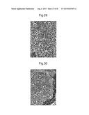 STRIPED PATTERN IMAGE EXAMINATION SUPPORT DEVICE, STRIPED PATTERN IMAGE     EXAMINATION SUPPORT METHOD AND PROGRAM diagram and image