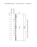 VERTICAL POWER MOSFET HAVING PLANAR CHANNEL AND ITS METHOD OF FABRICATION diagram and image