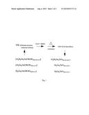 MOLECULAR PRECURSOR COMPOUNDS FOR ABGZO ZINC-GROUP 13 MIXED OXIDE     MATERIALS diagram and image