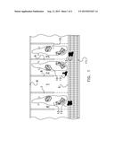 METHOD AND DEVICE FOR CLEANING CUBICLES diagram and image