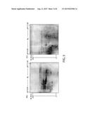 METHOD FOR PARTIAL DEGRADATION OF GLUTEN diagram and image