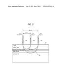 Biophotonic Measurement Apparatus and Biophotonic Measurement Method Using     Same diagram and image