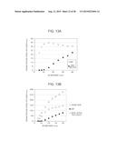 Biophotonic Measurement Apparatus and Biophotonic Measurement Method Using     Same diagram and image