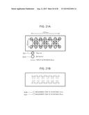 Biophotonic Measurement Apparatus and Biophotonic Measurement Method Using     Same diagram and image