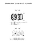 Biophotonic Measurement Apparatus and Biophotonic Measurement Method Using     Same diagram and image