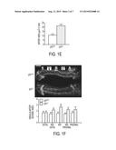 METHODS OF TREATMENT OF ISCHEMIA-INDUCED ANGIOGENESIS AND ARTERIOGENESIS diagram and image