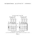 METHODS FOR THE TREATMENT OF LOCALLY ADVANCED BREAST CANCER diagram and image