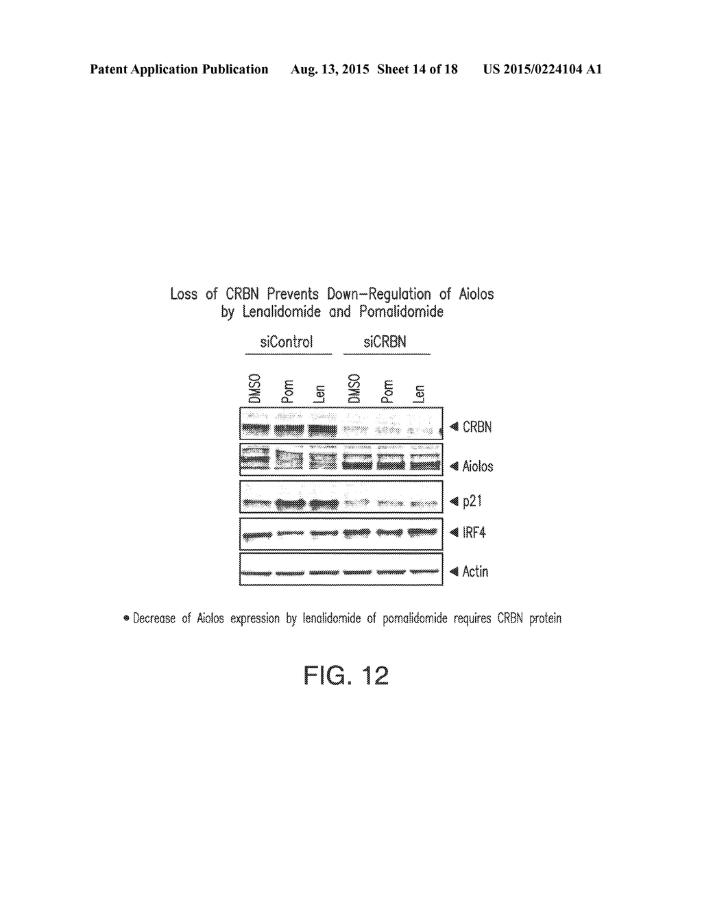 METHODS FOR THE TREATMENT OF LOCALLY ADVANCED BREAST CANCER - diagram, schematic, and image 15