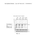 METHODS FOR THE TREATMENT OF LOCALLY ADVANCED BREAST CANCER diagram and image