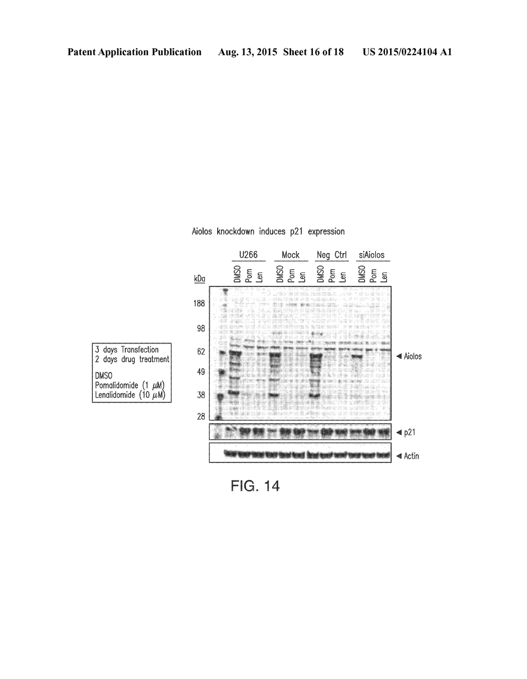 METHODS FOR THE TREATMENT OF LOCALLY ADVANCED BREAST CANCER - diagram, schematic, and image 17