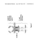 INHIBITION OF DIACYLGLYCEROL KINASE TO AUGMENT ADOPTIVE T CELL TRANSFER diagram and image