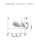 INHIBITION OF DIACYLGLYCEROL KINASE TO AUGMENT ADOPTIVE T CELL TRANSFER diagram and image