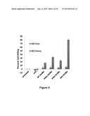 INHIBITION OF DIACYLGLYCEROL KINASE TO AUGMENT ADOPTIVE T CELL TRANSFER diagram and image