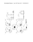 INHIBITION OF DIACYLGLYCEROL KINASE TO AUGMENT ADOPTIVE T CELL TRANSFER diagram and image