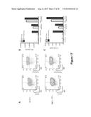 INHIBITION OF DIACYLGLYCEROL KINASE TO AUGMENT ADOPTIVE T CELL TRANSFER diagram and image