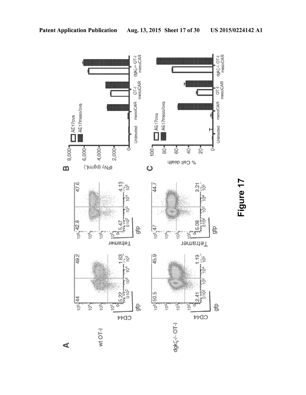 INHIBITION OF DIACYLGLYCEROL KINASE TO AUGMENT ADOPTIVE T CELL TRANSFER - diagram, schematic, and image 18