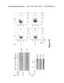 INHIBITION OF DIACYLGLYCEROL KINASE TO AUGMENT ADOPTIVE T CELL TRANSFER diagram and image