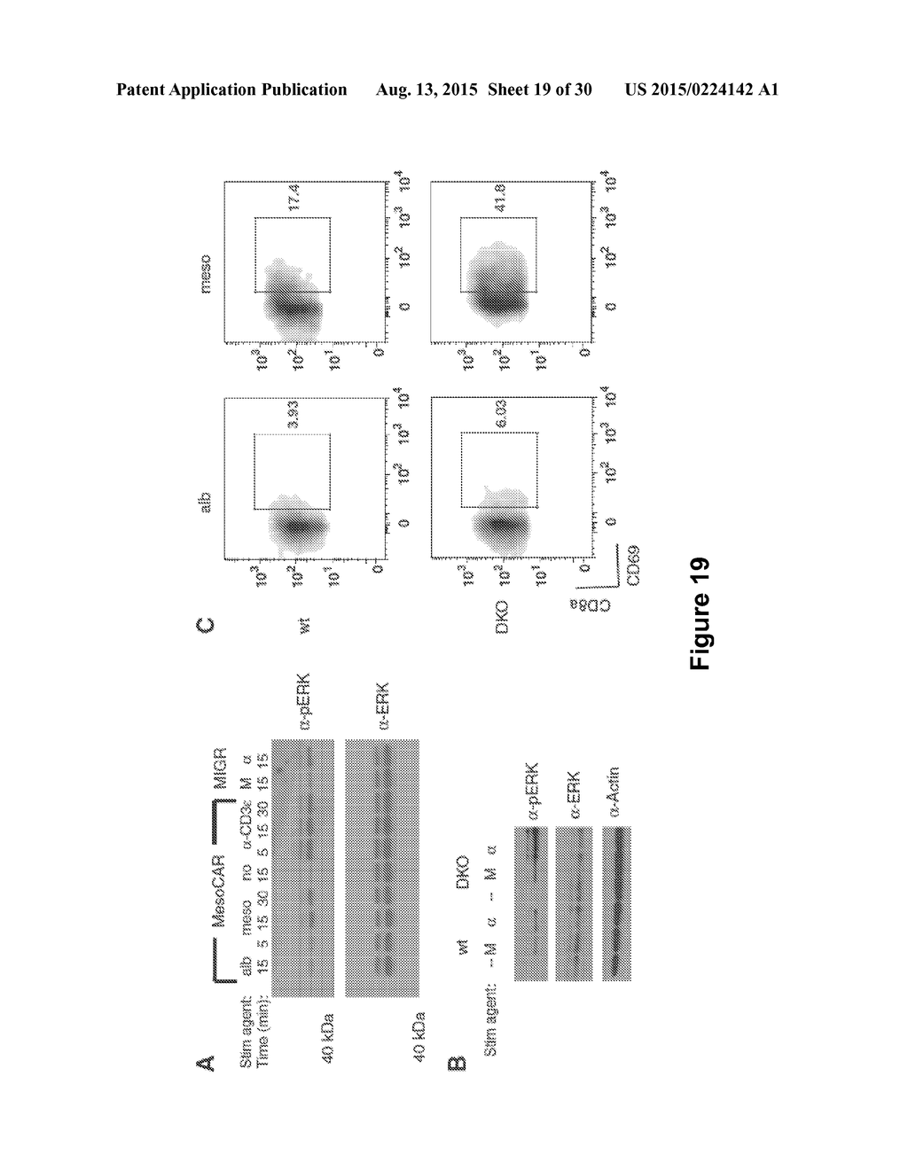 INHIBITION OF DIACYLGLYCEROL KINASE TO AUGMENT ADOPTIVE T CELL TRANSFER - diagram, schematic, and image 20