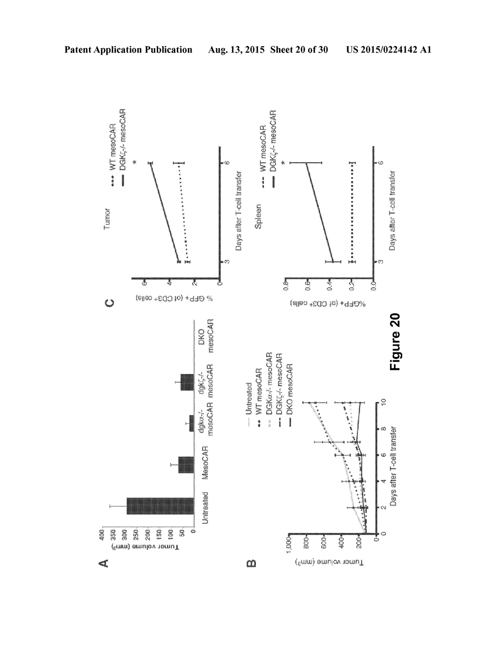 INHIBITION OF DIACYLGLYCEROL KINASE TO AUGMENT ADOPTIVE T CELL TRANSFER - diagram, schematic, and image 21