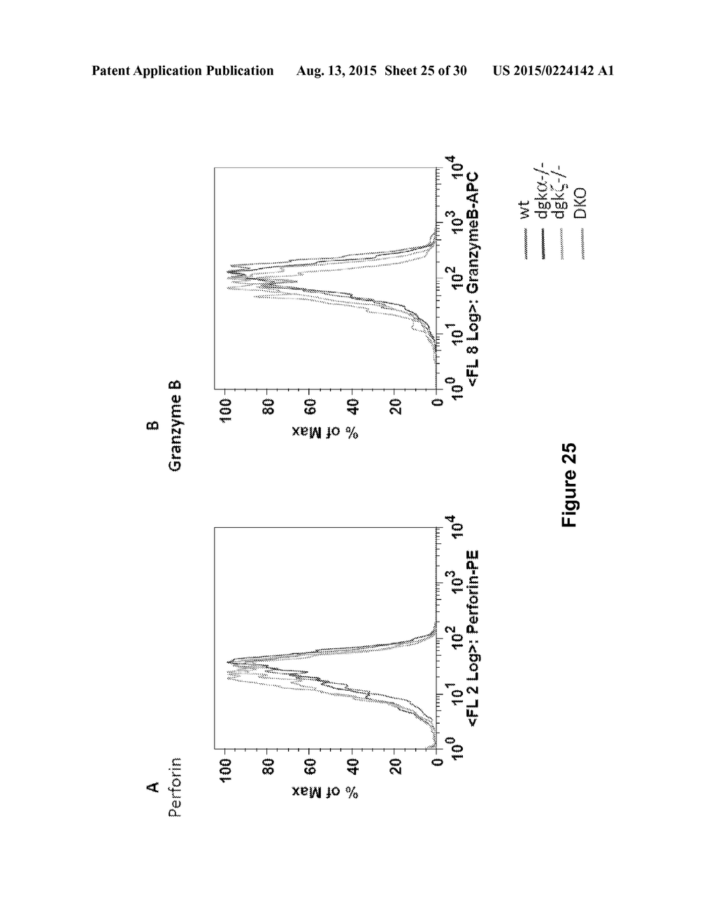 INHIBITION OF DIACYLGLYCEROL KINASE TO AUGMENT ADOPTIVE T CELL TRANSFER - diagram, schematic, and image 26