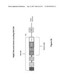 INHIBITION OF DIACYLGLYCEROL KINASE TO AUGMENT ADOPTIVE T CELL TRANSFER diagram and image