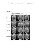 PAECILOMYCES VARIOTII VAR. BRUNNEOLUS GPP1101B, AND PREPARATION USING SAME diagram and image