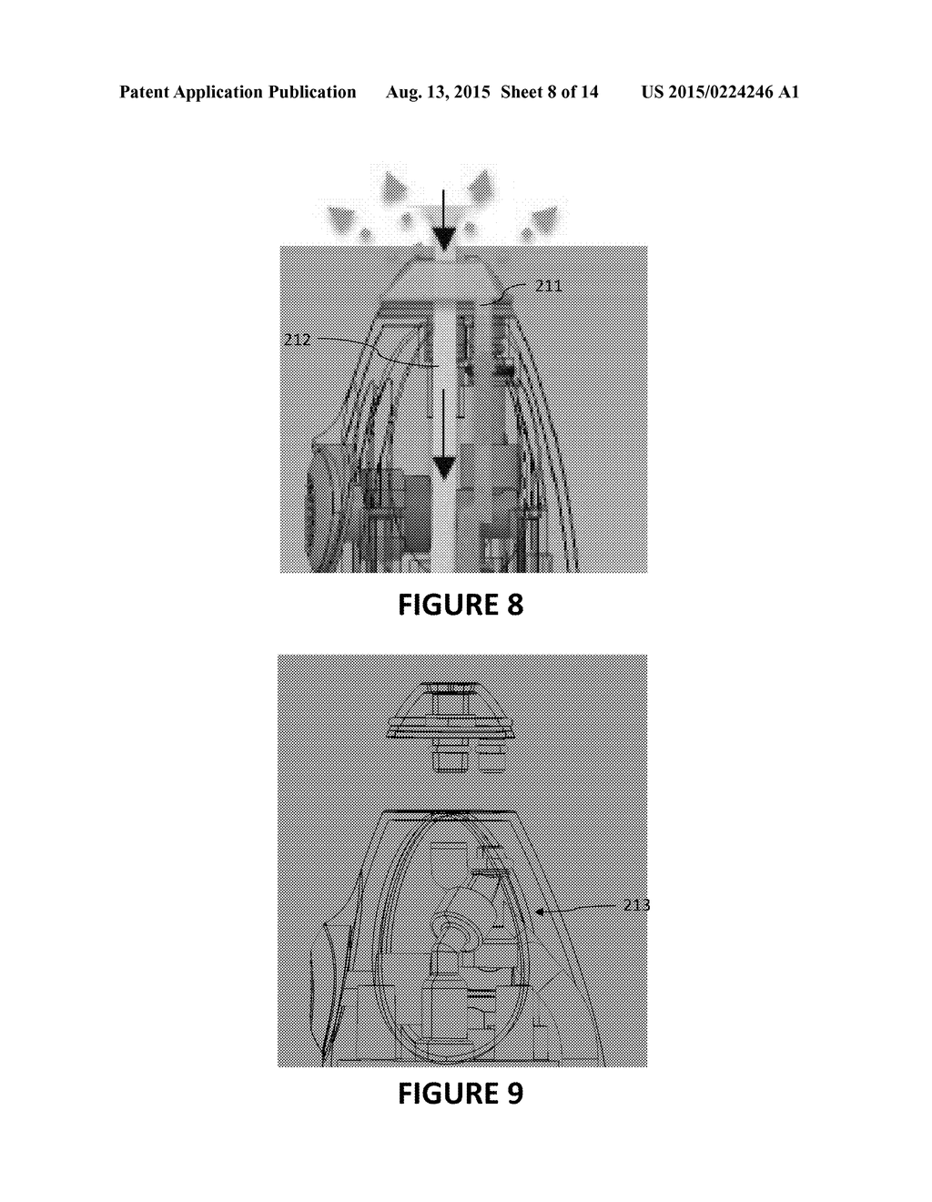 NASAL IRRIGATION ASSEMBLY AND SYSTEM - diagram, schematic, and image 09