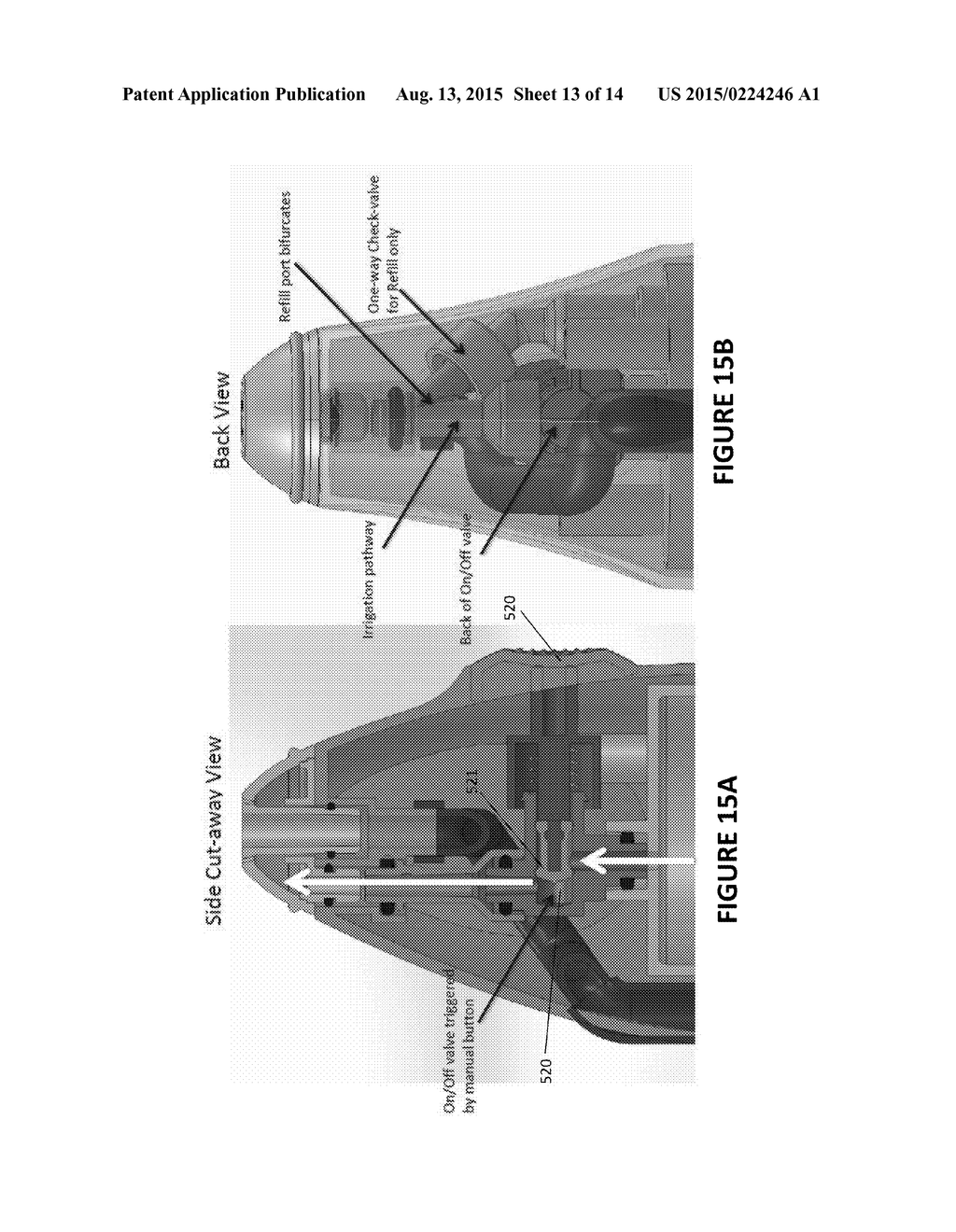 NASAL IRRIGATION ASSEMBLY AND SYSTEM - diagram, schematic, and image 14