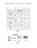 EXERCISE DEVICE PATH TRACES diagram and image