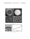 ELECTRICALLY CONDUCTING REVERSE OSMOSIS MEMBRANES diagram and image