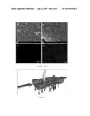 ELECTRICALLY CONDUCTING REVERSE OSMOSIS MEMBRANES diagram and image