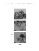 METHODOLOGY FOR THE FORMATION OF AN EXTRACTIVE AGENT OF POLYMERIZED CARBON     NANOTUBES ENCAPSULATING PHENOL NANOPARTICLES USED FOR DNA EXTRACTION AND     PURIFICATION, AND PRODUCT THEREOF diagram and image