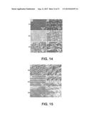 POLYMER HAVING SUPERHYDROPHOBIC SURFACE diagram and image