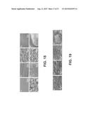 POLYMER HAVING SUPERHYDROPHOBIC SURFACE diagram and image