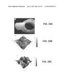 POLYMER HAVING SUPERHYDROPHOBIC SURFACE diagram and image