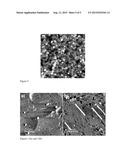 PROCESS FOR PREPARING GRAPHENE NANORIBBONS diagram and image