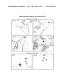 Crystalline Solid and Amorphous Forms of (-)-Halofenate and Methods     Related Thereto diagram and image