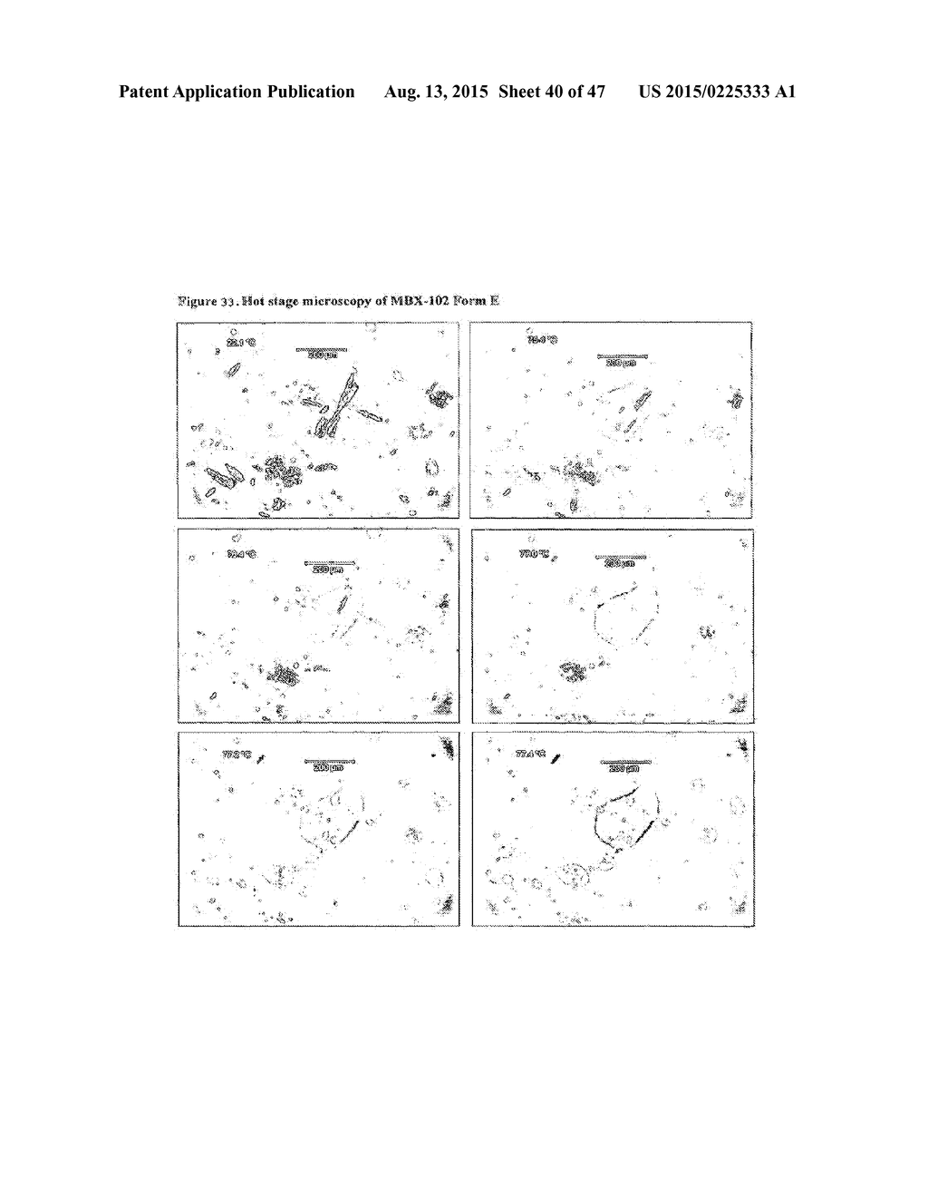 Crystalline Solid and Amorphous Forms of (-)-Halofenate and Methods     Related Thereto - diagram, schematic, and image 41