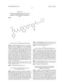 KINASE INHIBITORS diagram and image